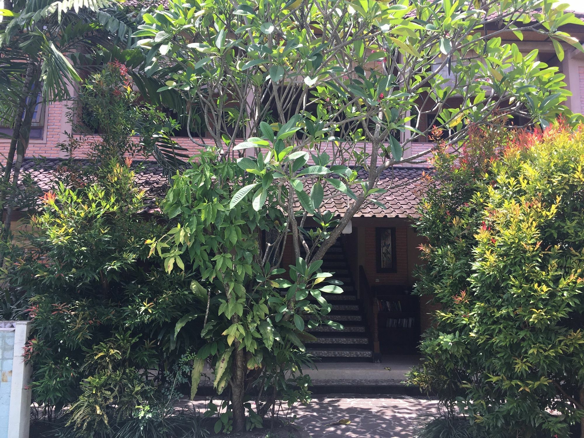 Cafe Wayan & Cottages Mangsit Exterior foto